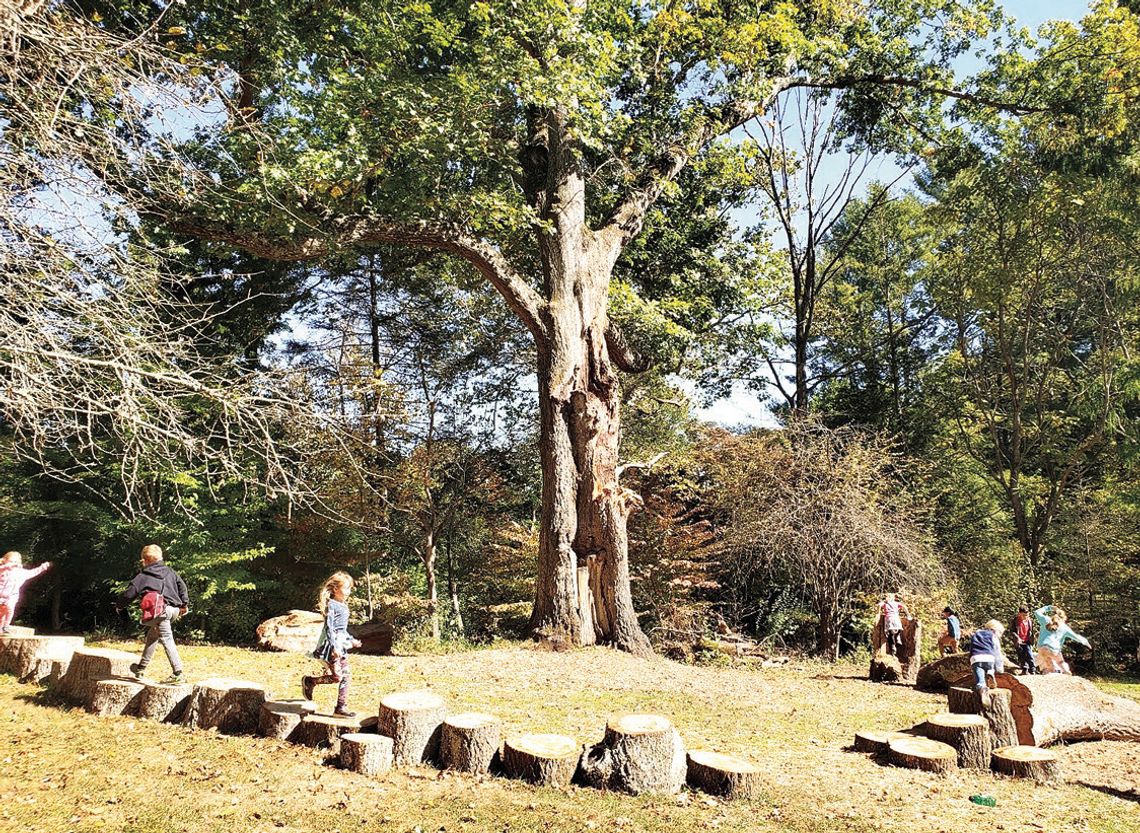 Boxerwood’s Great Oak Falls