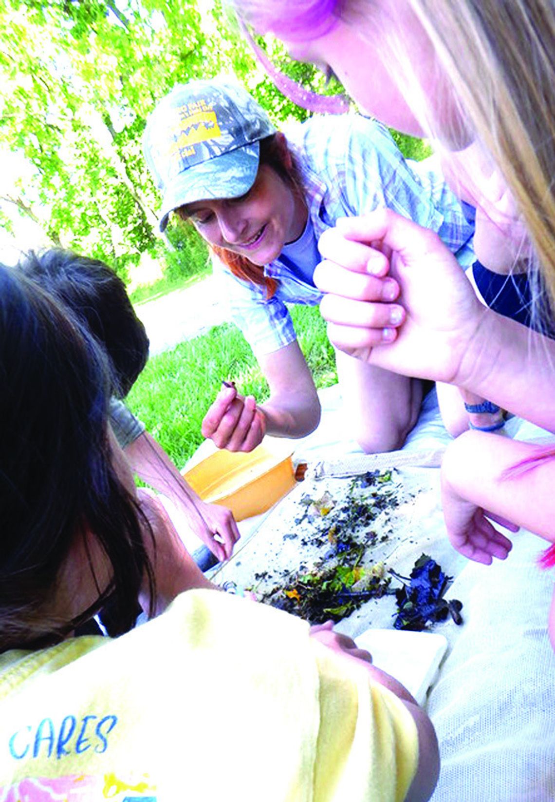 Boxerwood Slates Volunteer Sessions