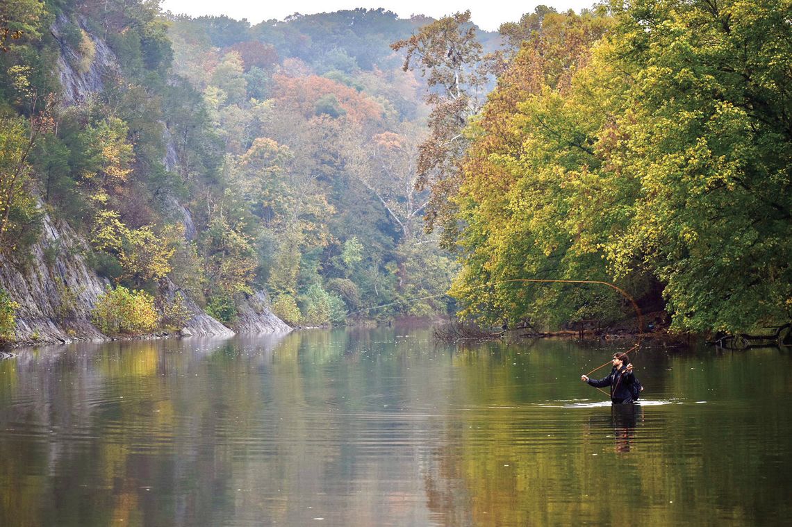 Capturing Fall Colors