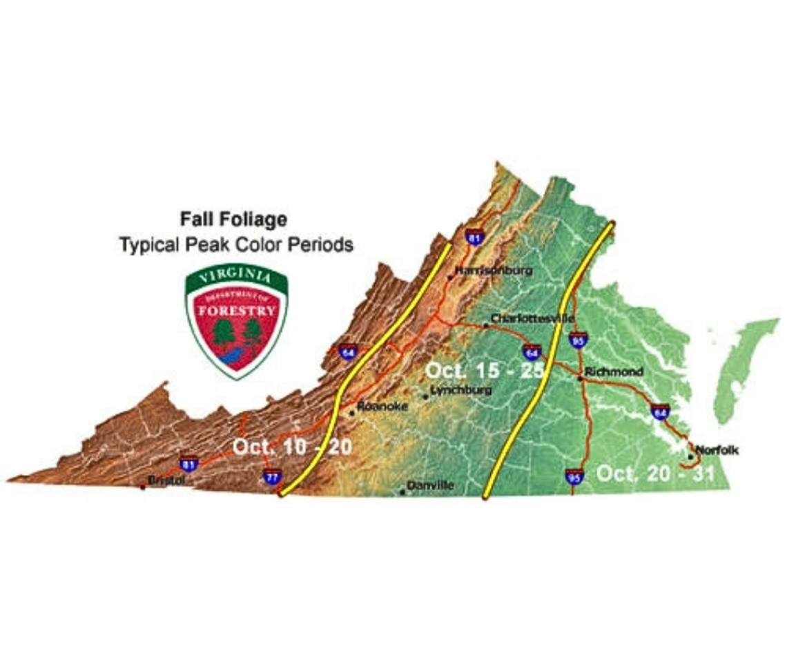 Catch Virginia's Peak Fall Colors Catch Virginia's Peak Fall Colors