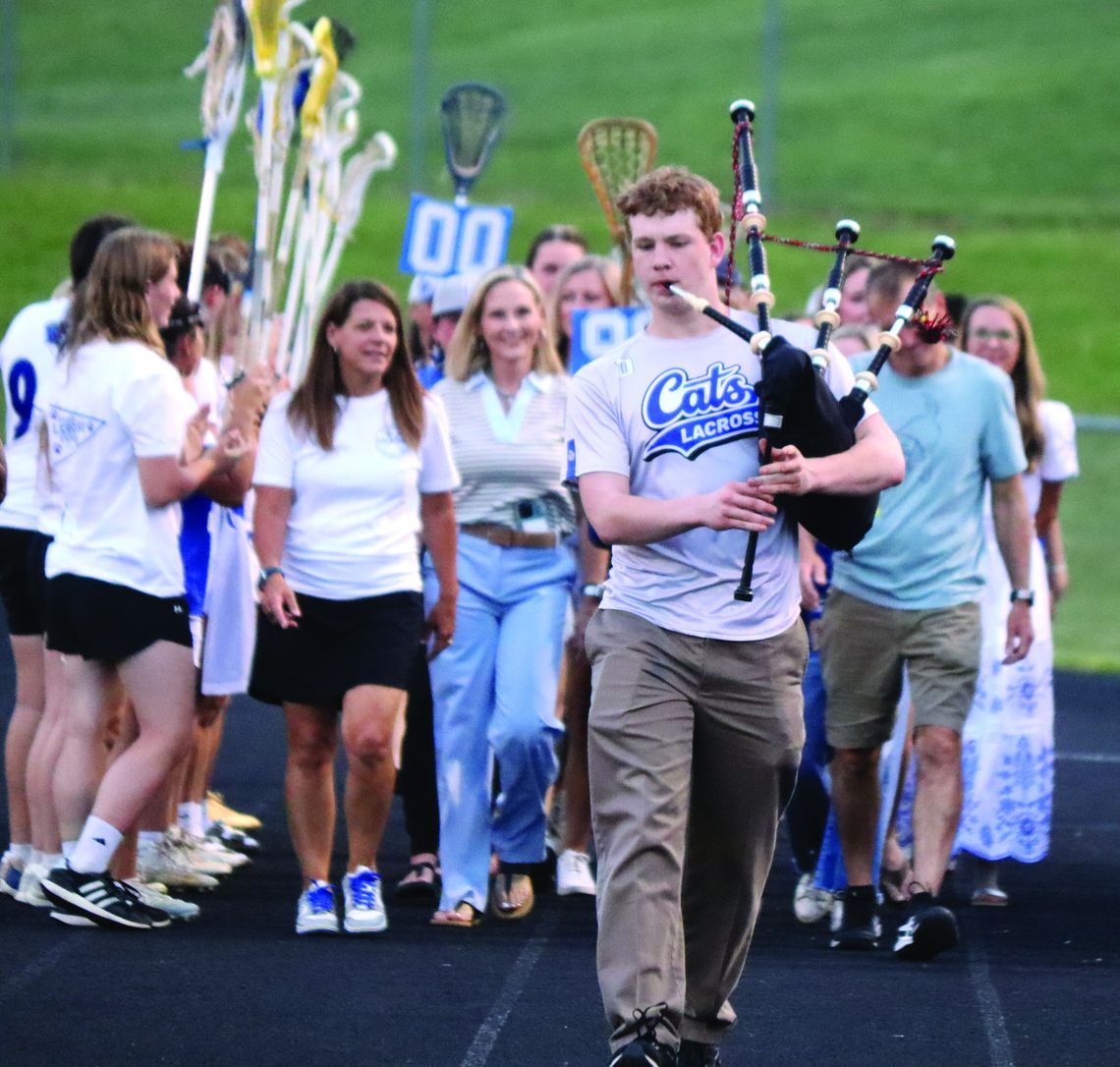 ‘Cats Burn Forest, Break Glass