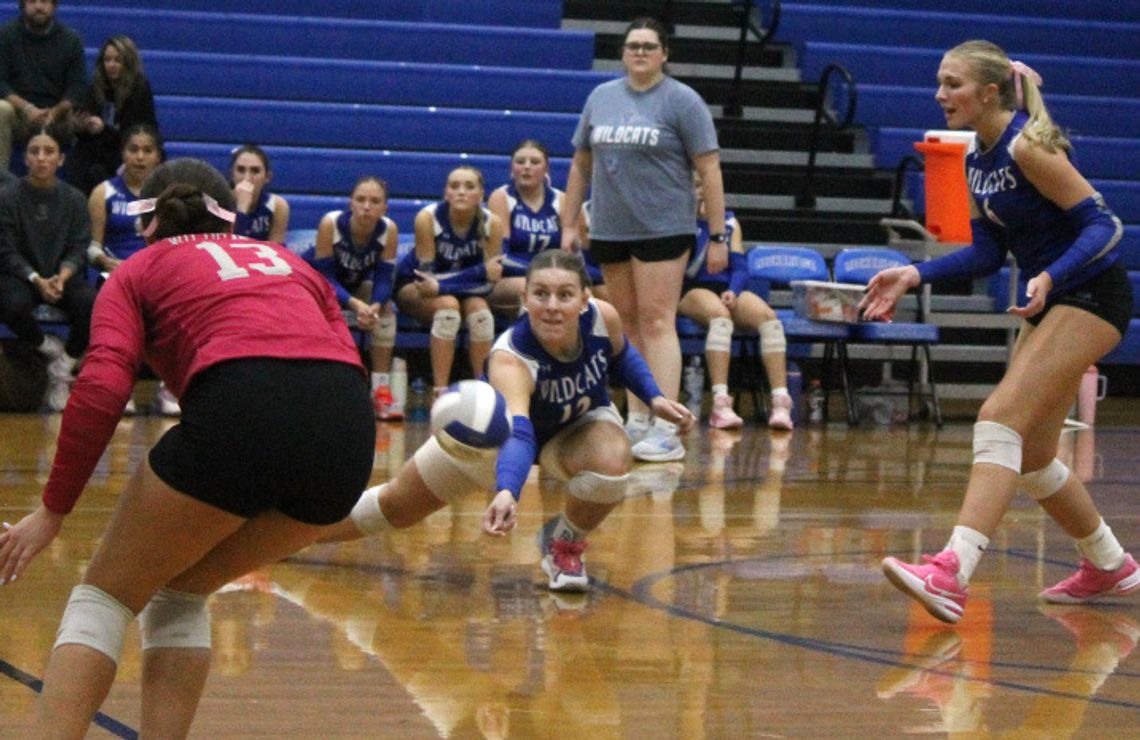 ‘Cats Handle Waynesboro ‘Cats Handle Waynesboro
