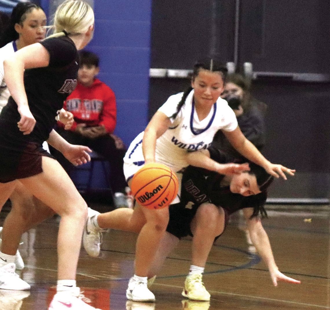 ‘Cats Hold Off Storm