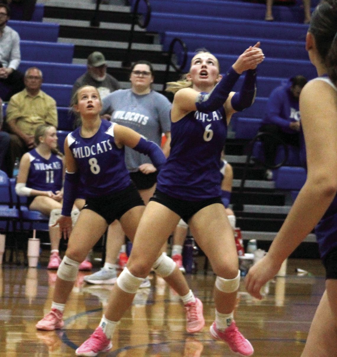 ‘Cats Split Shenandoah Slate