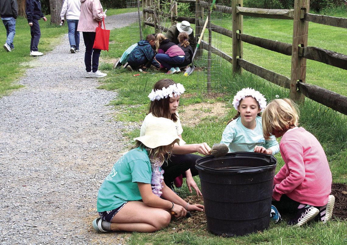 Celebrating Arbor Day