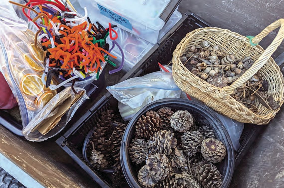 Celebrating Gifts Of Nature Celebrating Gifts Of Nature