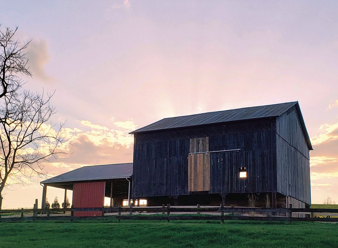 Coming Up At The Barn