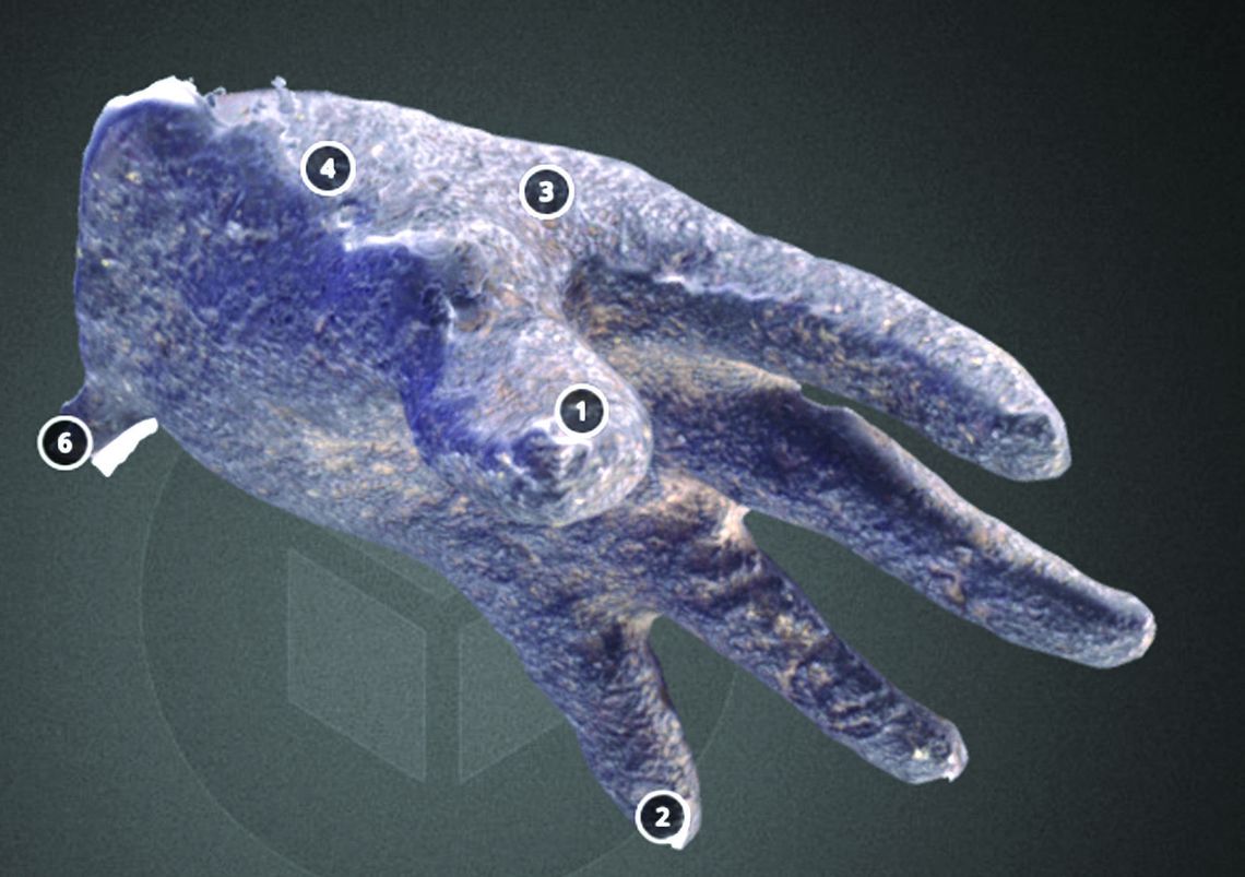 ‘Cycles Of History’ ‘Cycles Of History’