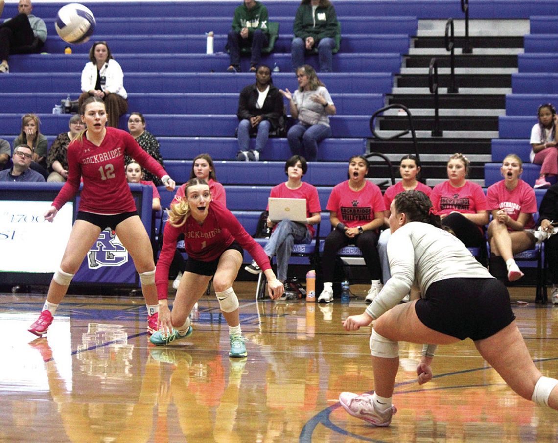 Depleted Wildcat Squad Falls To Wilson Depleted Wildcat Squad Falls To Wilson