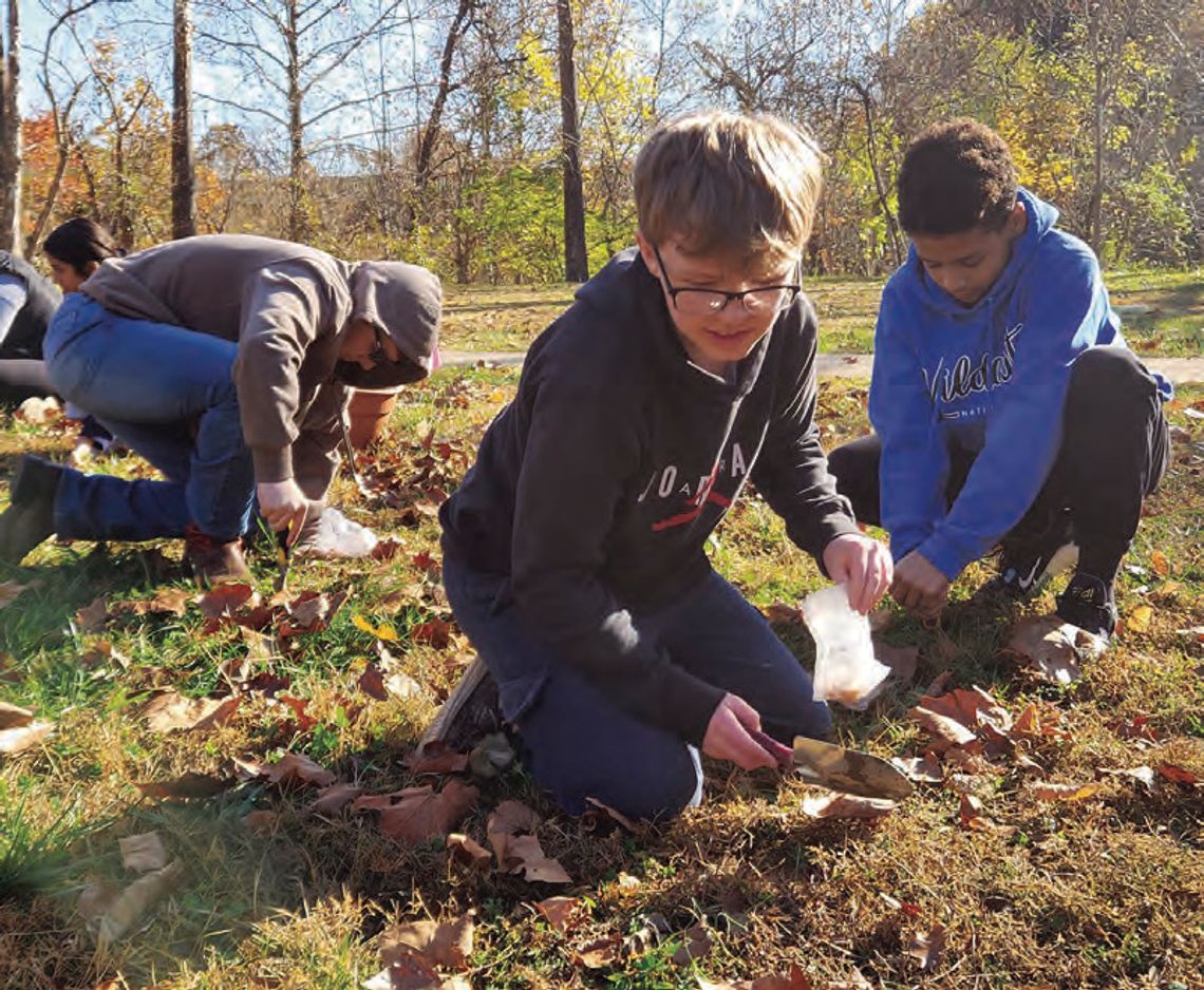 Eco-Citizens in Action