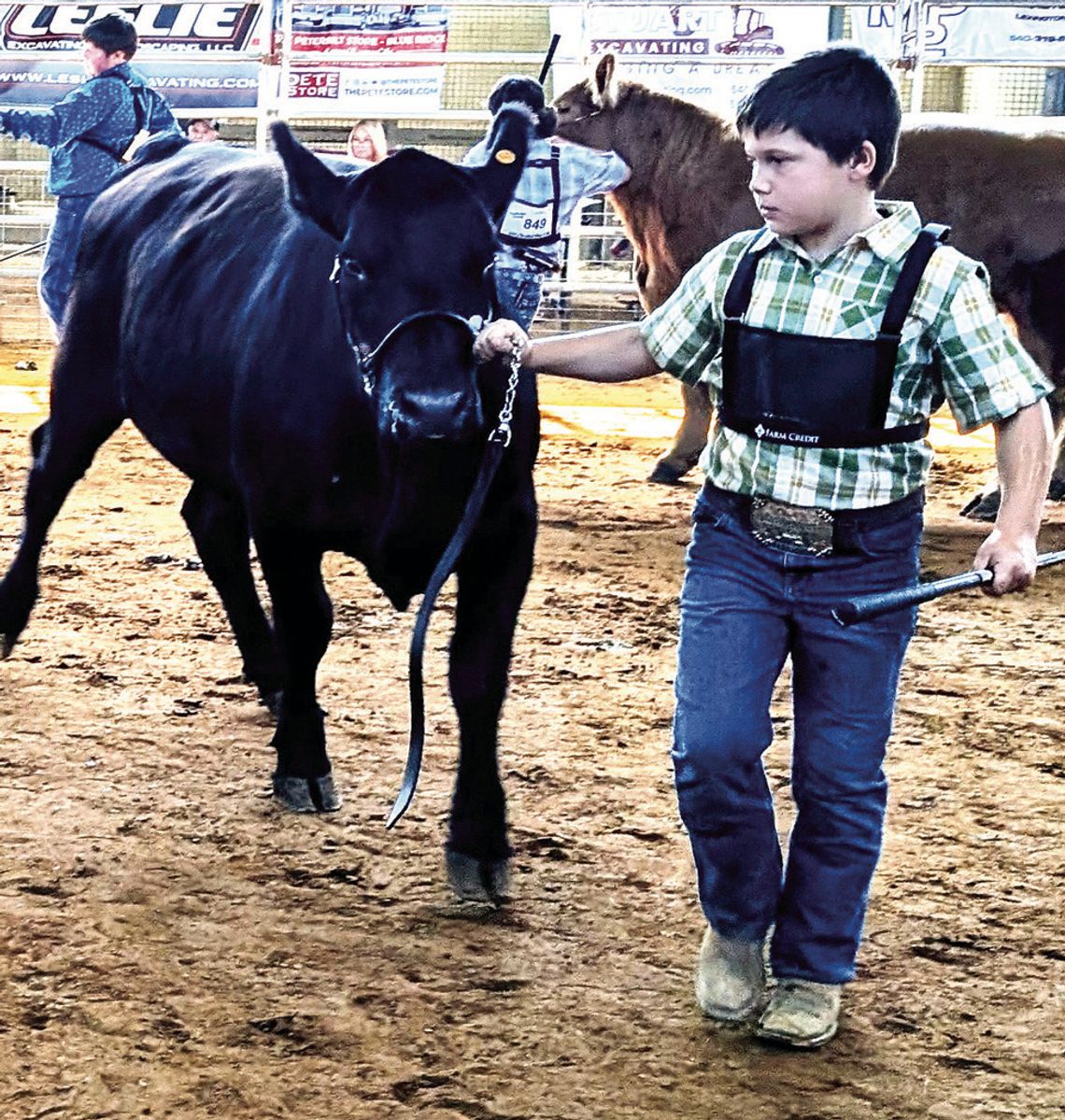 Family 4-H Traditions Continue At Fair