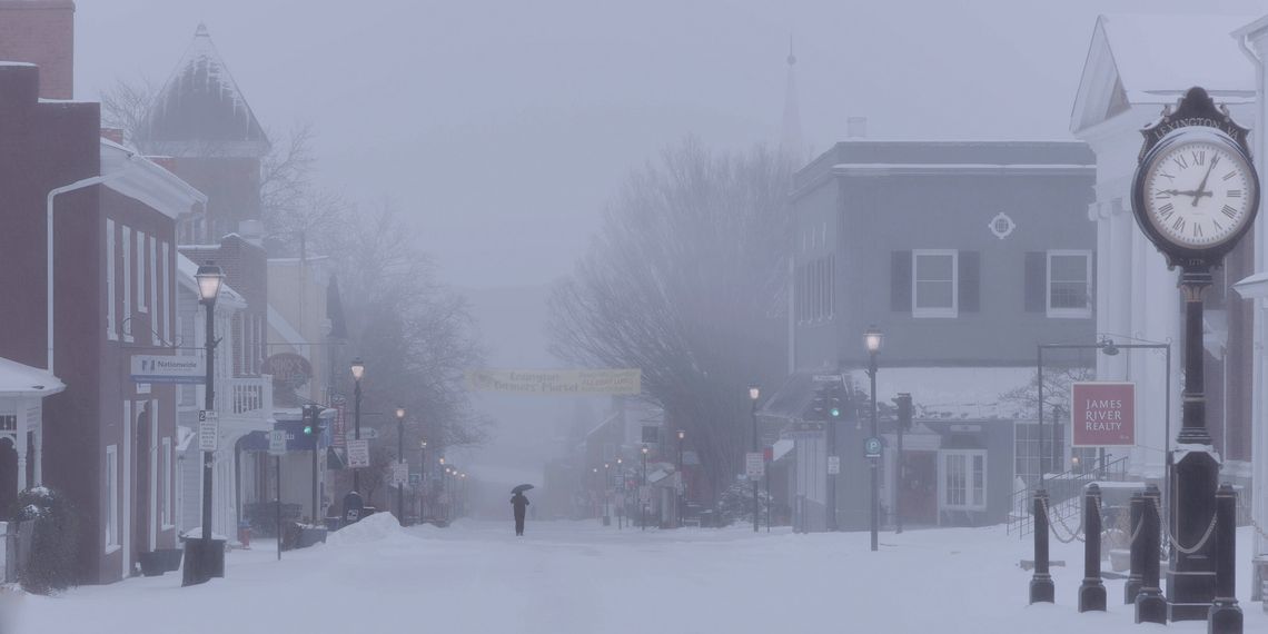 Fern Leaves Ice, Cold Fern Leaves Ice, Cold