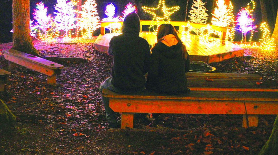 Festival Of Trees, Luminary Nights Return to NBSP Festival Of Trees, Luminary Nights Return to NBSP