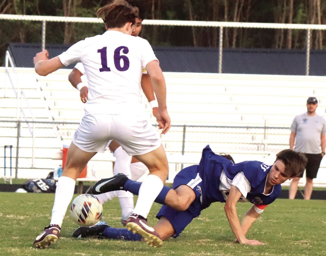 Fox Leads RC Comeback