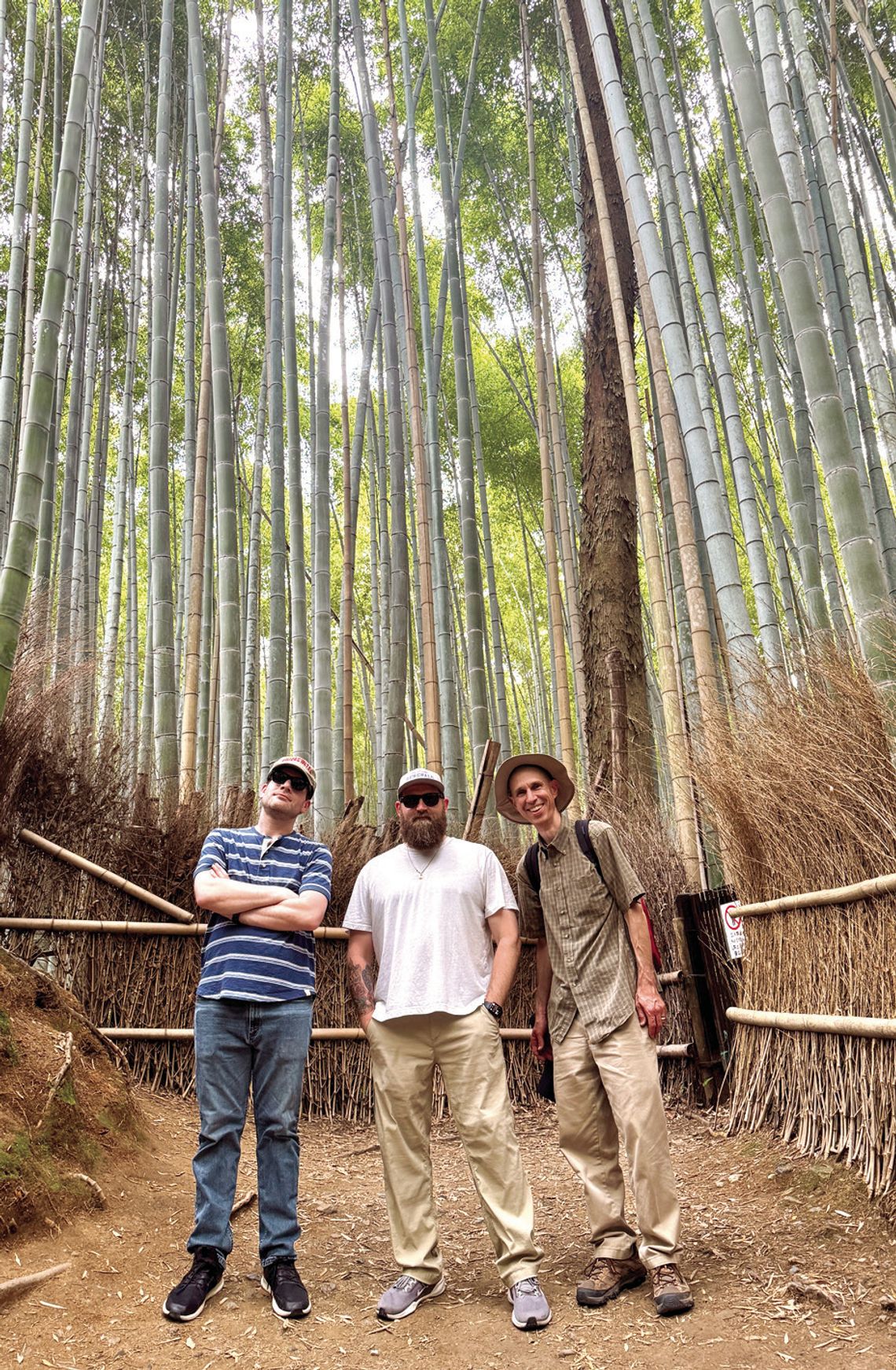 From Bamboo Forests To Jellyfish