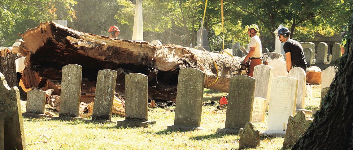 Gravestone Restorations Will Take Months Gravestone Restorations Will Take Months