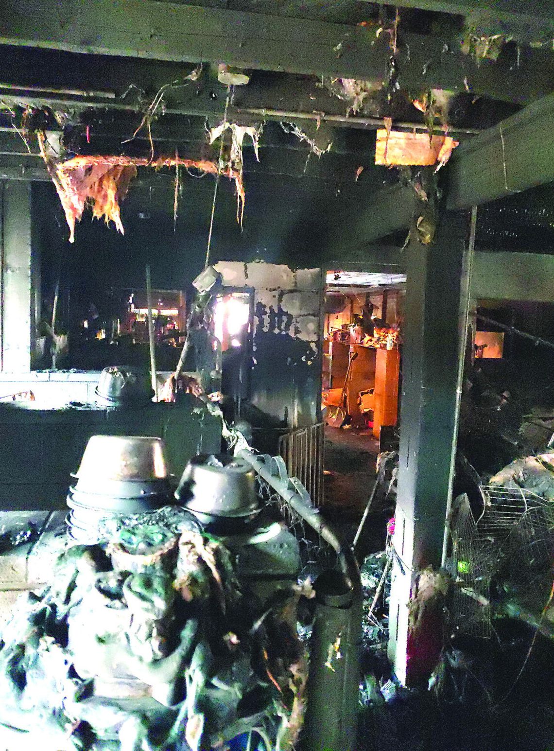 Grooming Business Destroyed Grooming Business Destroyed