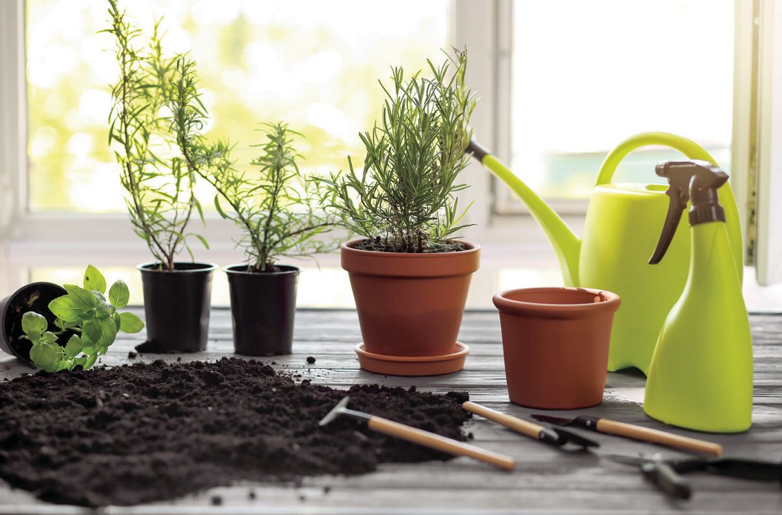 Herb Sale Saturday At Hopkins Green