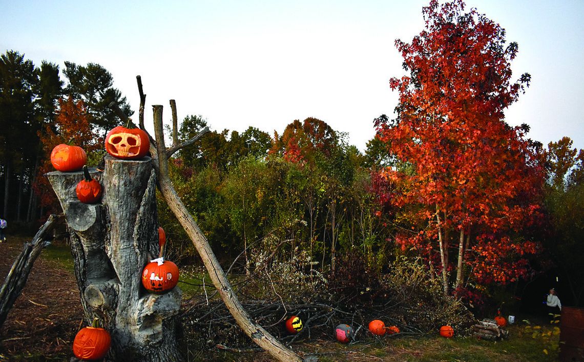 Hoards Of Gourds