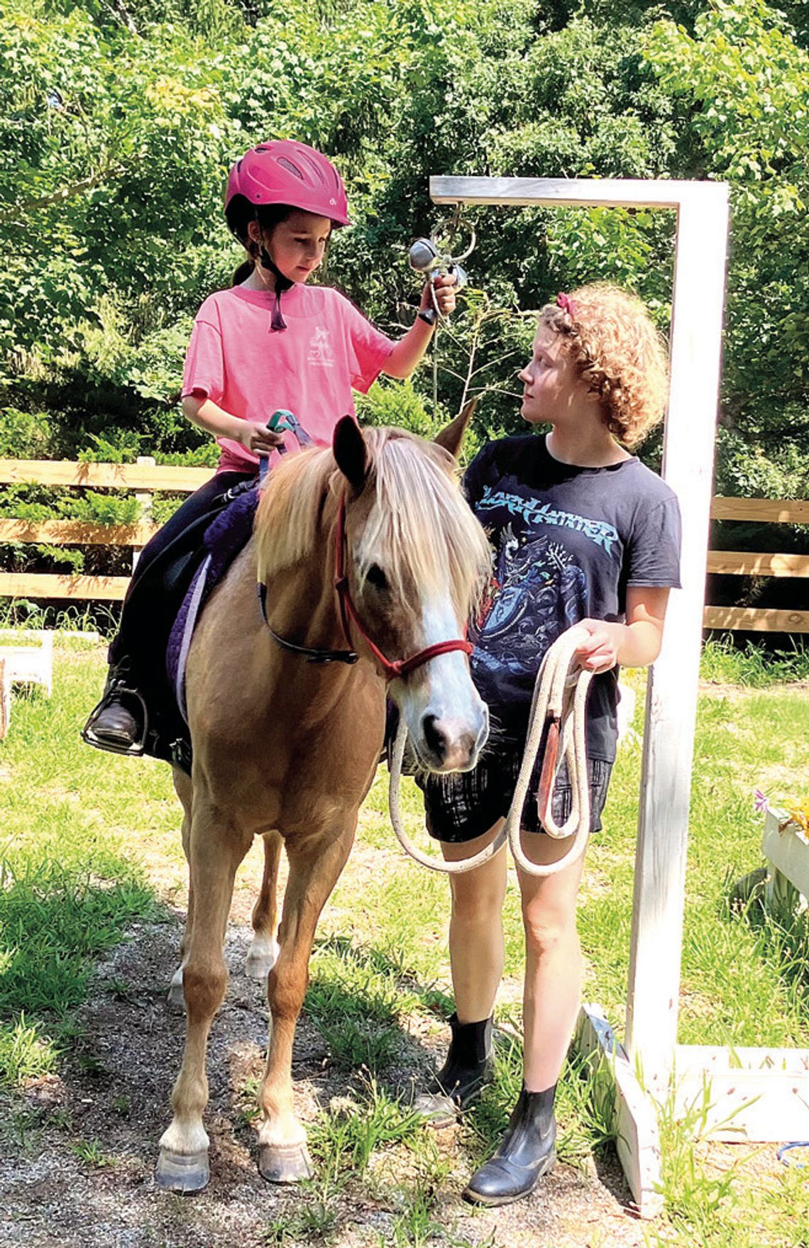 Hoofbeats Slates Volunteer Training