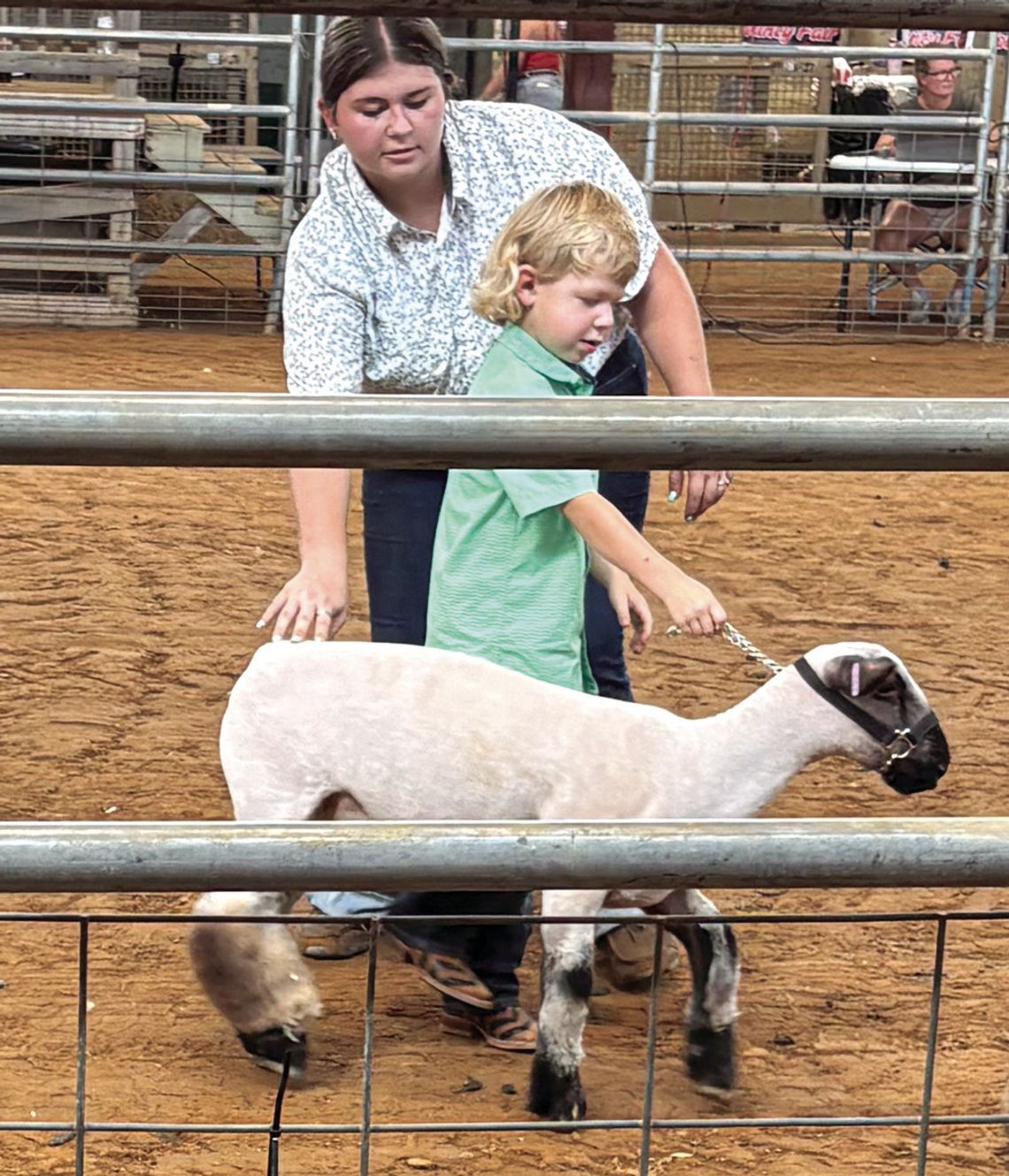 ‘I Showed My Lamb!’ ‘I Showed My Lamb!’