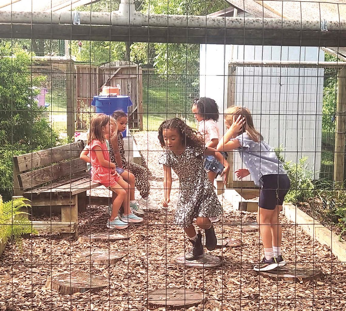 In The Sensory Garden