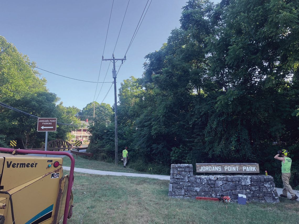 Invasive Species Removed From Jordans Point