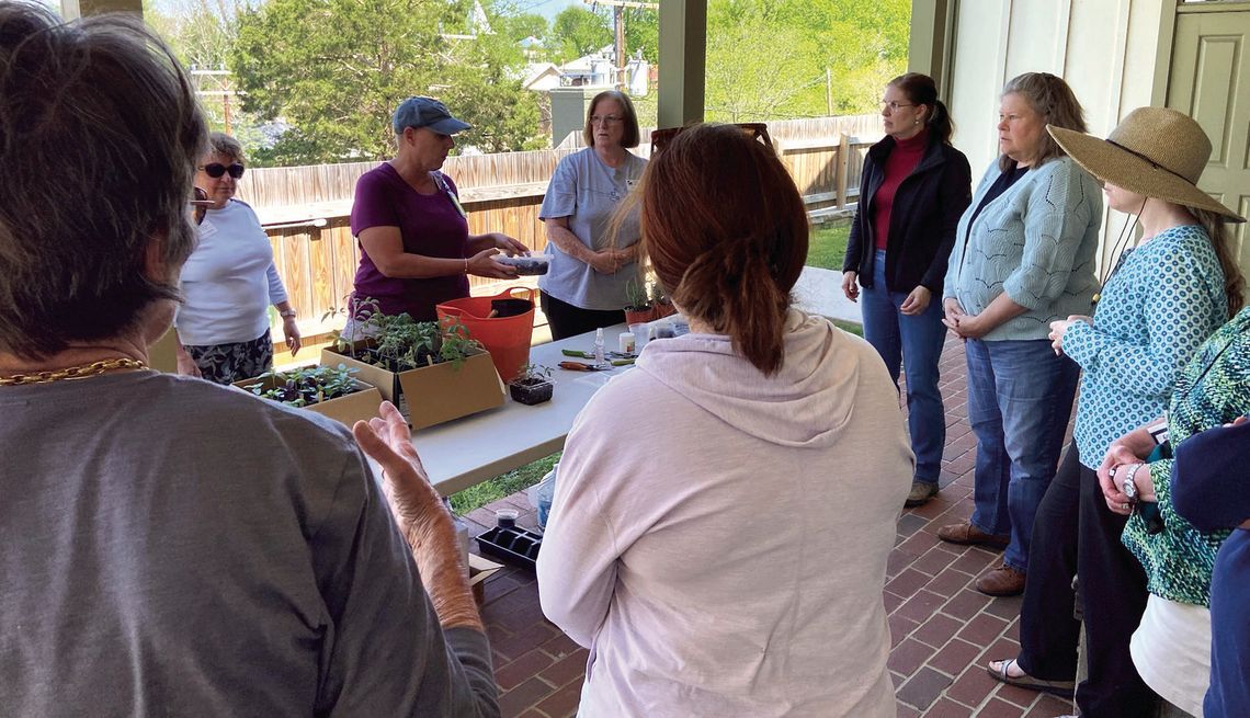 Kitchen Garden Workshop At Jackson House Kitchen Garden Workshop At Jackson House