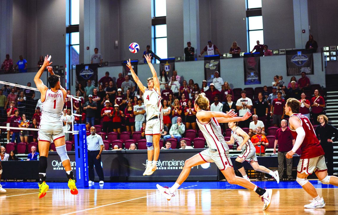 Knights Win! Knights Win!