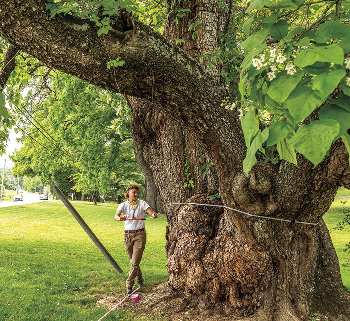 Lexington Tree A Co-State Champion