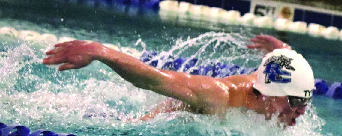 Local Swimmers Back In Pool