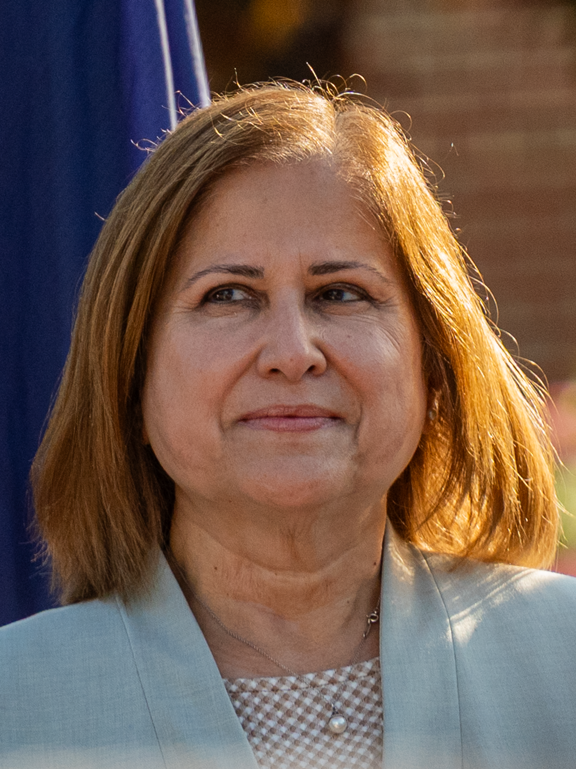 Lt. Governor To Attend DSS Ribbon Cutting cropped headshot of Virginia's 43rd Lt. Governor, Ghazala Hashmi, a 62-year-old light-skinned Indian-American woman with golden-brown hair. She is wearing a light blue suit jacket over a blouse with a brown and white overlapping checkerboard pattern.