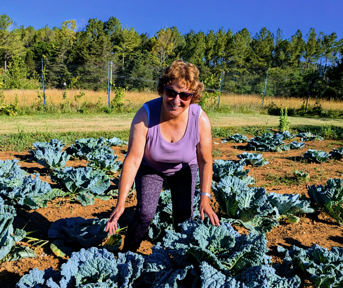 Master Gardeners Offer Drought Tips Master Gardeners Offer Drought Tips