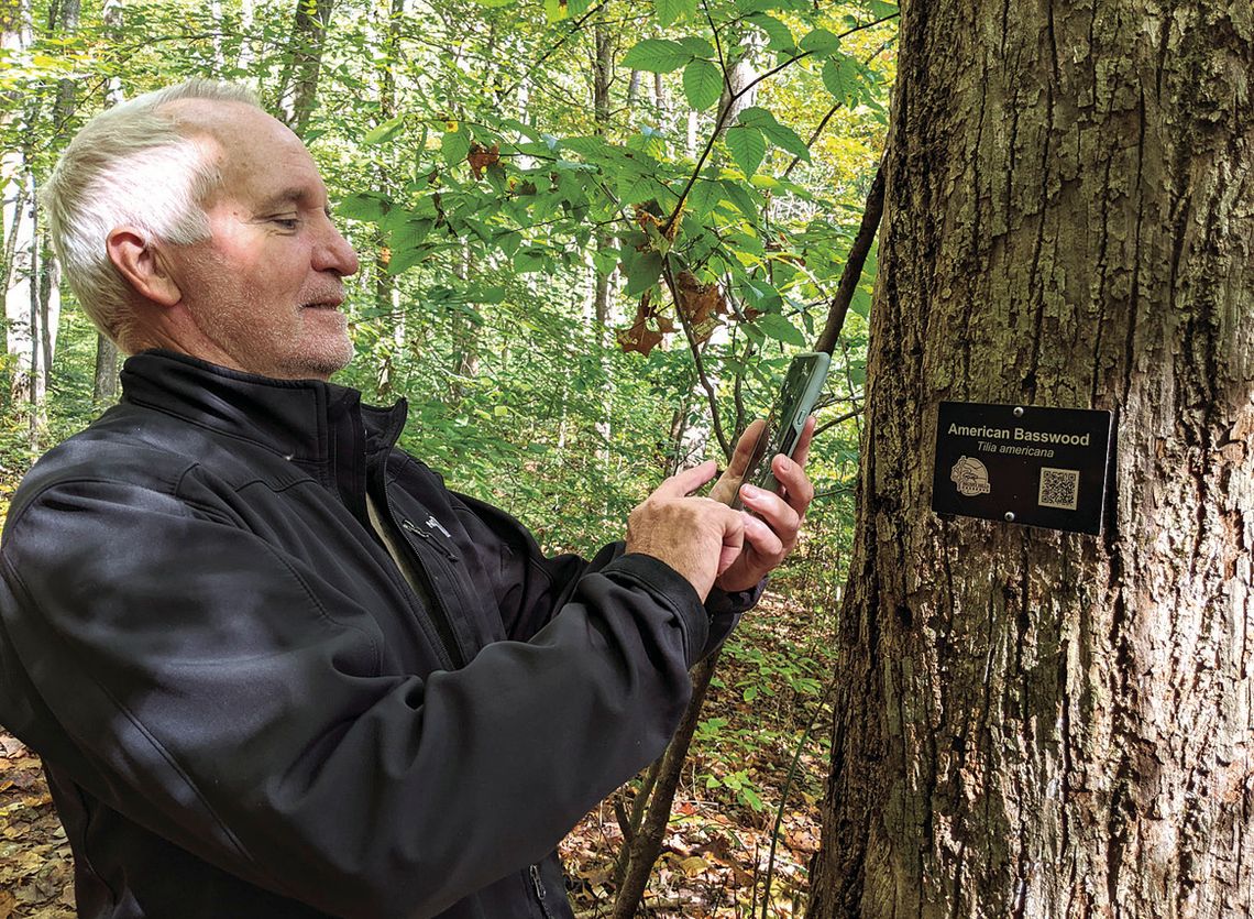 New Technology In An Old Forest