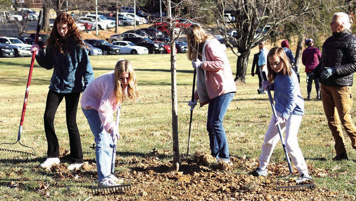 New Trees For The Hospital New Trees For The Hospital