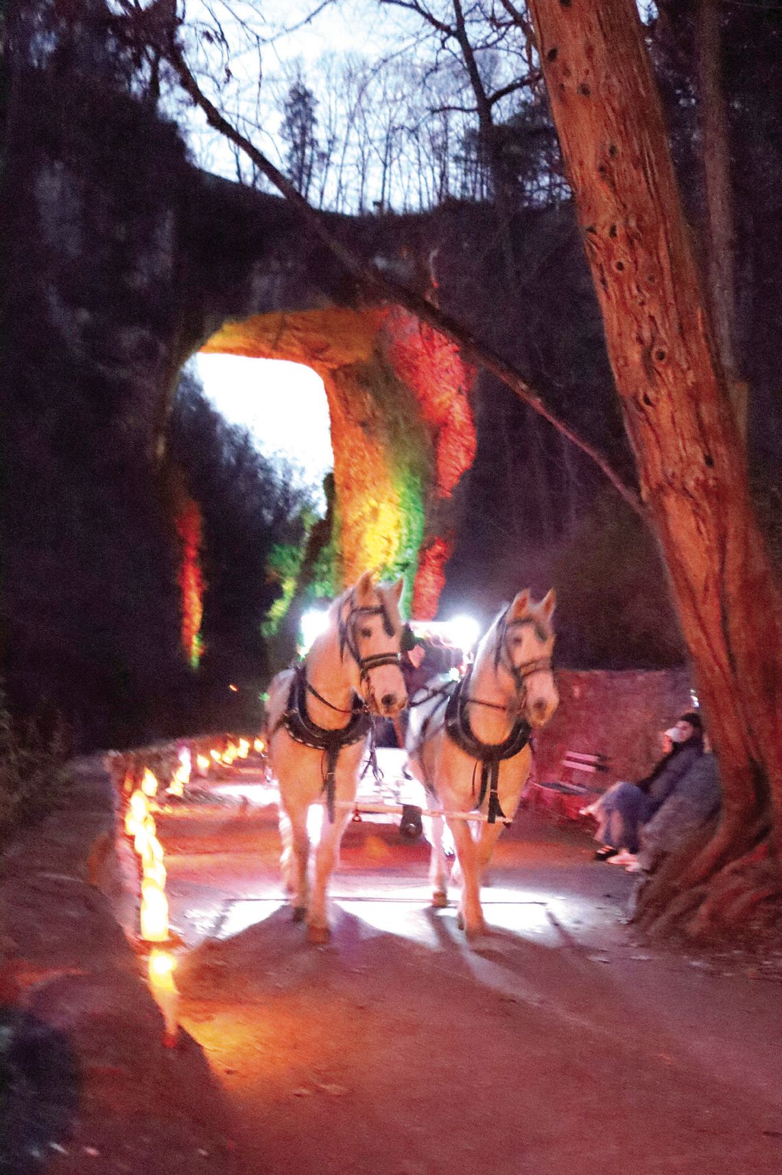 One More Luminary Night Saturday