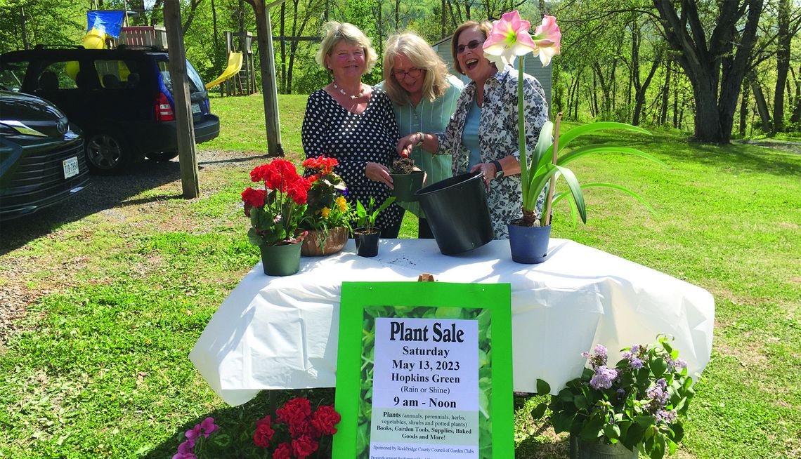 Plant Sale Marks 20 Years