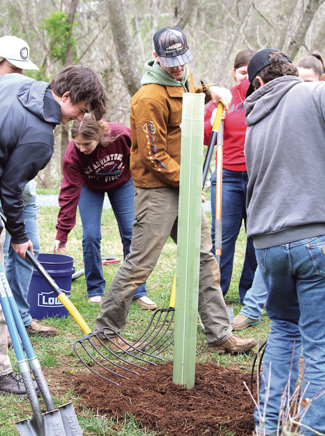 Planting At Jordans Point