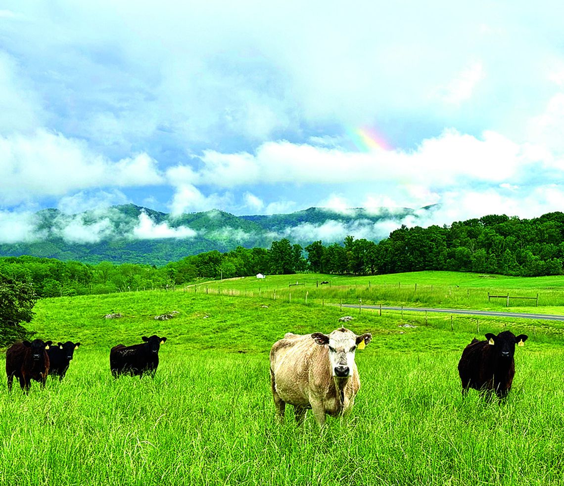 Rainbow Over Raphine