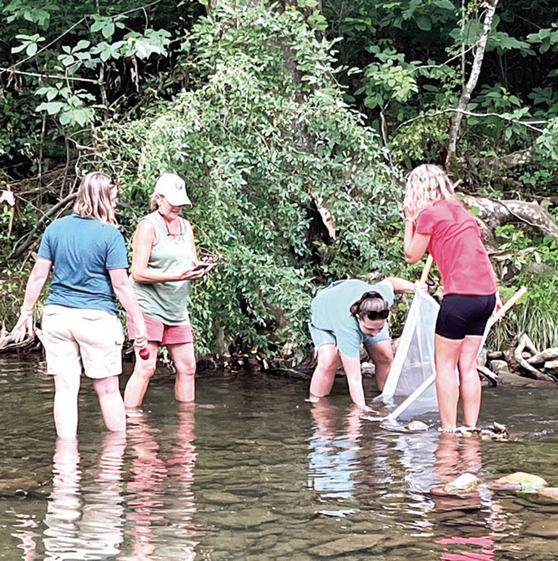 Re-Imagining Education