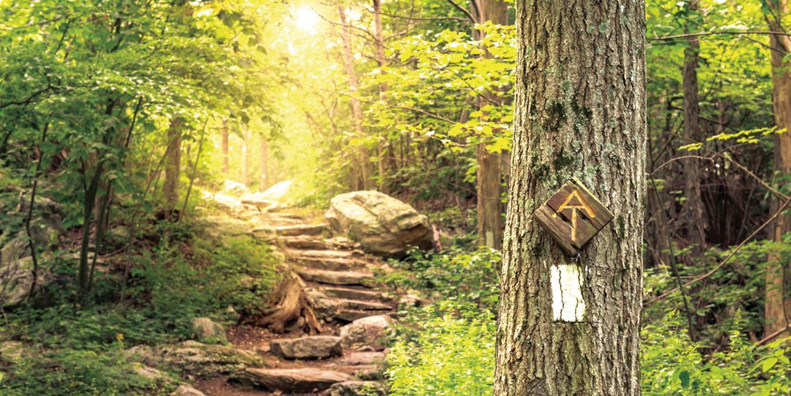 Revolutionary Lands Revolutionary Lands