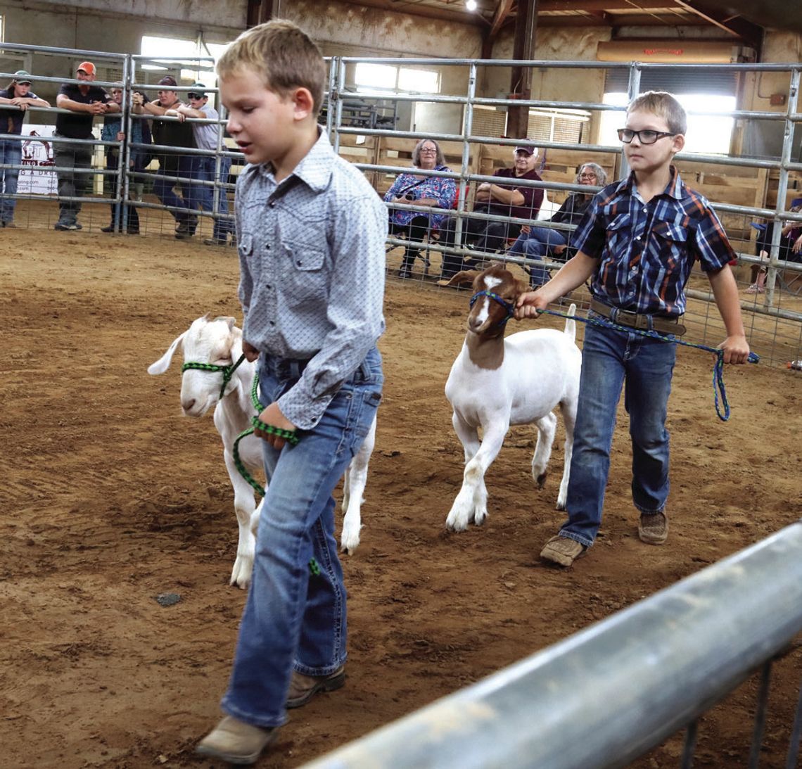 Show Time At The Fair