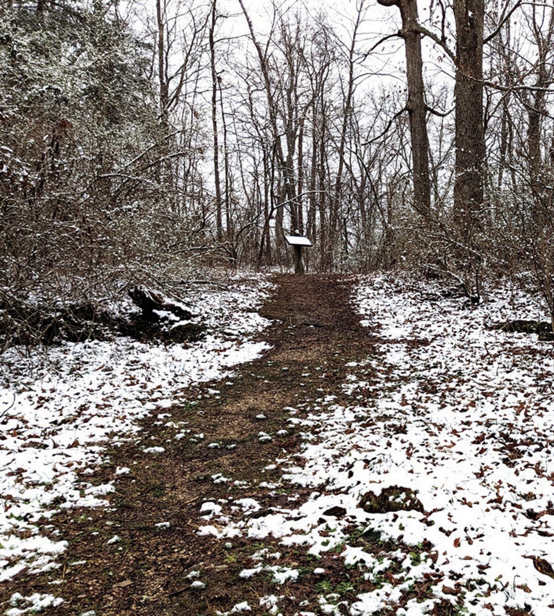 Snowy Trail