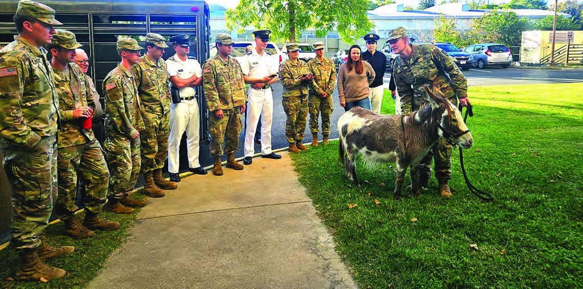 So There Was This Donkey At School … So There Was This Donkey At School …