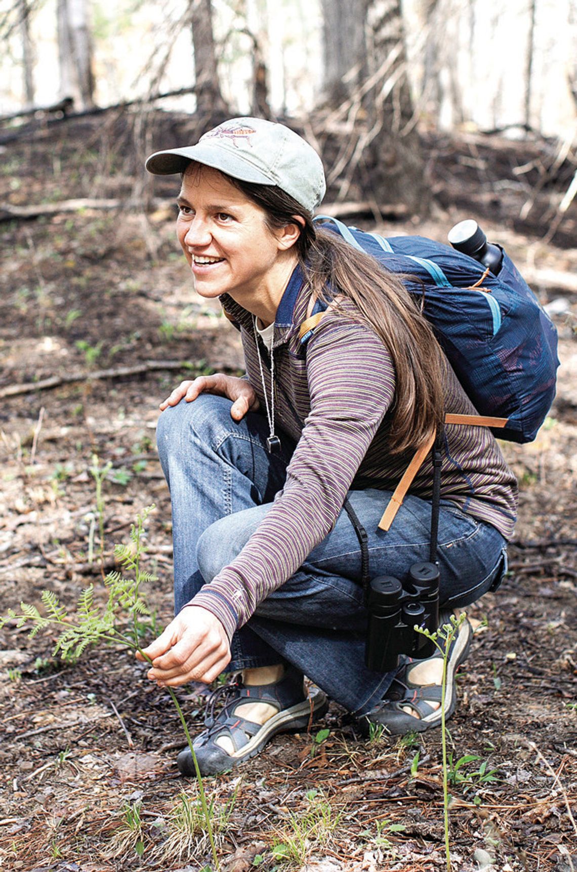 Spring Flower Walk At Brushy Hills