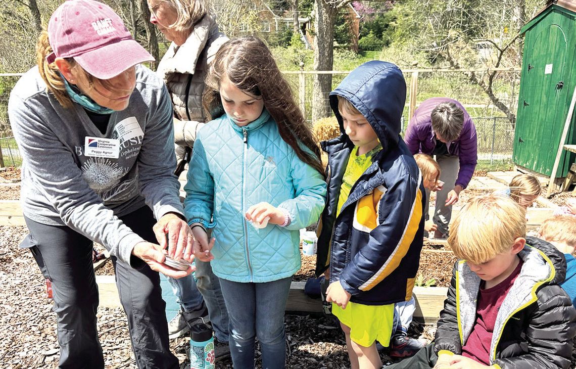 Springtime At Roots And Shoots