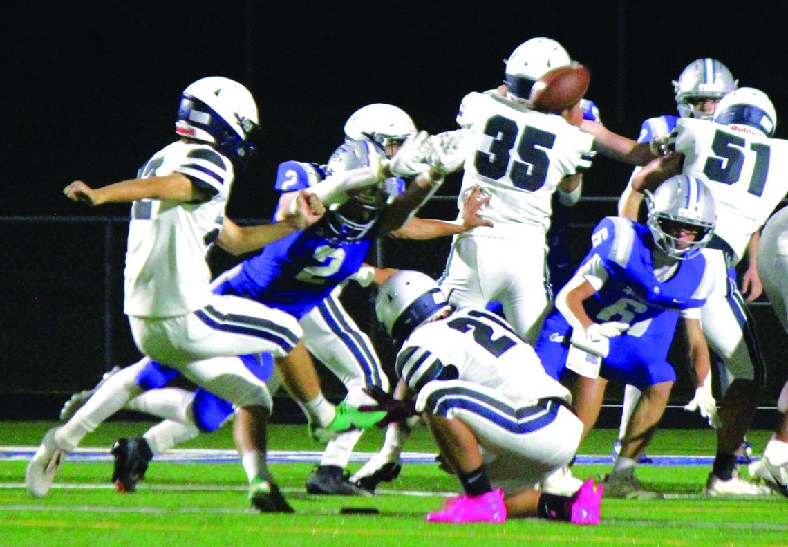 Storm Hold Off ‘Cats Storm Hold Off ‘Cats