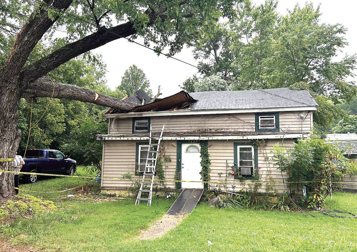 Storms Down Trees, Power Lines In Area