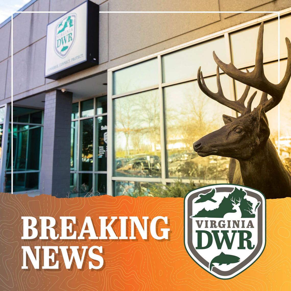 Suspected hemorrhagic disease in deer reported in VA