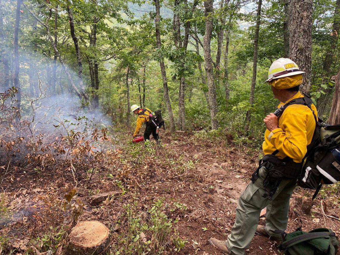 Taylor Hollow Fire 40 Percent Contained Taylor Hollow Fire 40 Percent Contained